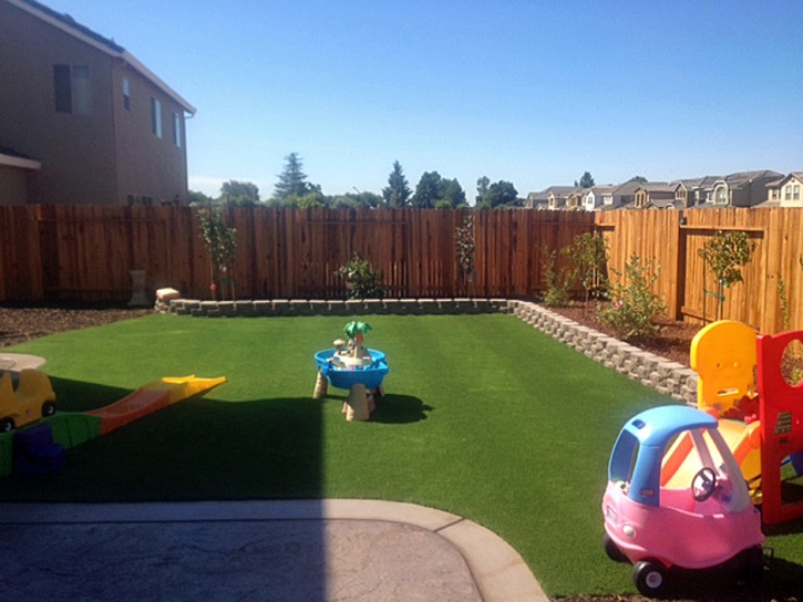 Synthetic Turf Supplier Hartland, California Lawn And Garden, Backyard Landscape Ideas