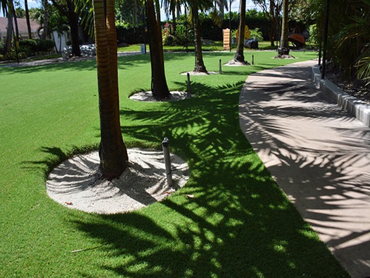 Synthetic Turf Supplier Round Valley, California Hotel For Dogs, Commercial Landscape