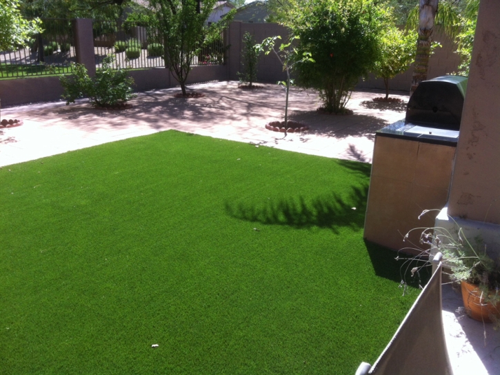 Synthetic Turf Supplier South Taft, California Pet Paradise, Backyard