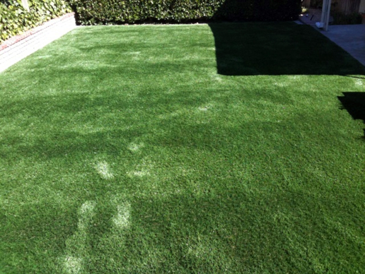 Turf Grass Fowler, California Landscape Ideas, Backyard Design