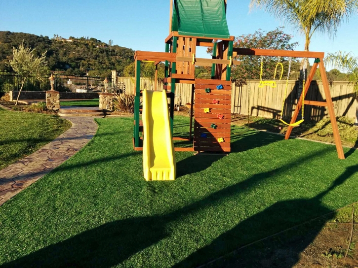 Turf Grass Riverdale, California Landscape Photos, Backyard Design