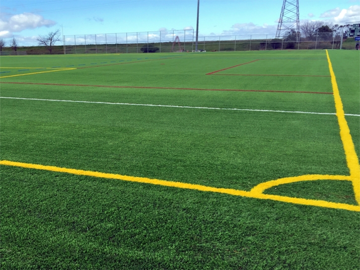 Turf Grass San Martin, California Football Field