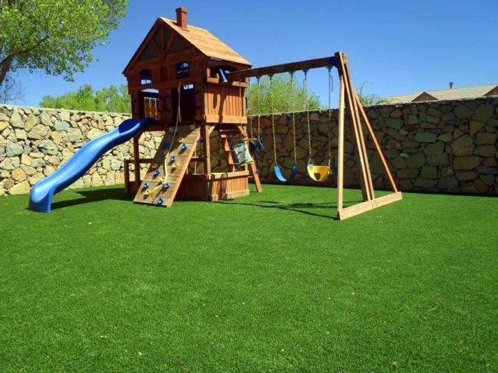 Turf Grass Taft Mosswood, California Rooftop, Small Backyard Ideas